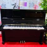 Yamaha U2H Piano Dubai – Professionally Serviced, Free Bench Warranty (2099894)