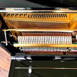 Yamaha U1 (788243) Upright Piano