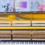 Yamaha U2H Piano Dubai – Professionally Serviced, Free Bench Warranty (2099894)