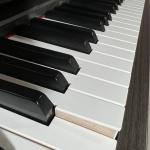 Yamaha Clavinova CLP 645 Darkwalnut Digital Piano