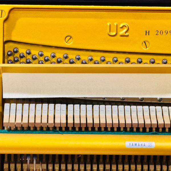 Yamaha U2H Piano Dubai – Professionally Serviced, Free Bench Warranty (2099894)