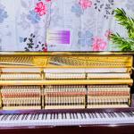 Diapason 125 Mahogany Finish 0113201 (Kawai Made)