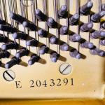 YAMAHA G5 Black Grand Piano | Used Pianos Dubai