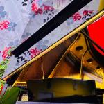 Yamaha G3 Grand Piano – Made in Japan 🎹 Serial No 720477